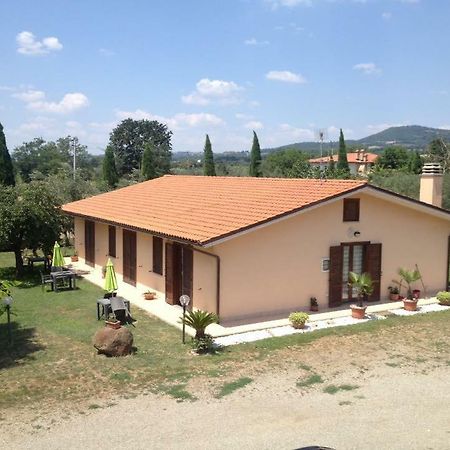 Agriturismo La Piantata Больсена Екстер'єр фото